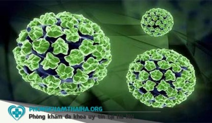 Bệnh sùi mào gà là gì: Nguyên nhân, Triệu chứng & cách chữa trị